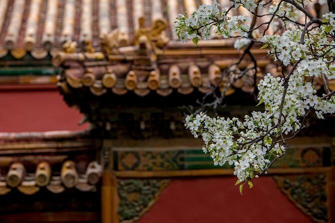 3-Day Private Beijing Tour with Forbidden City, Great Wall, Hutong and Lunch - Olympic Park photo stop: Bird Nest and Water Cube