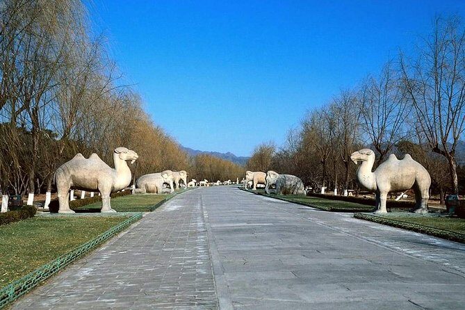 All Inclusive Private Tour to Mutianyu Great Wall and Ming Tombs - Who this Mutianyu and Ming Tombs tour is best for