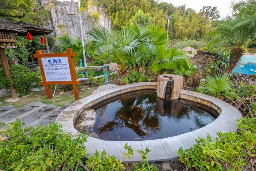 Beijing: Badaling Great Wall VIP Pass w/Optional Attractions - Cable car round trip at Badaling: saving energy without missing the view