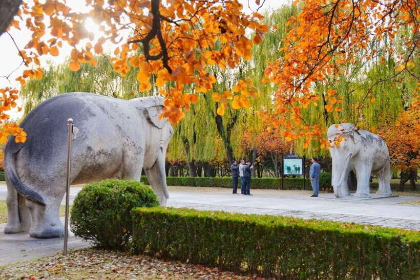 Beijing: Juyongguan Great Wall, Sacred Way & Ming Tombs Trip - Choosing Your Package: What Really Changes (And What You’ll Pay)
