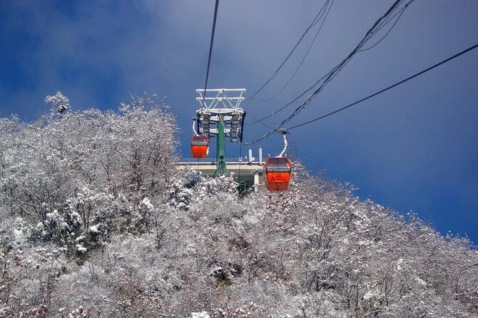 Beijing Mini Group Tour to Mutianyu Great Wall (Max 8+Tickets) - Ticket choices at the wall: cable car, lift, and descent options