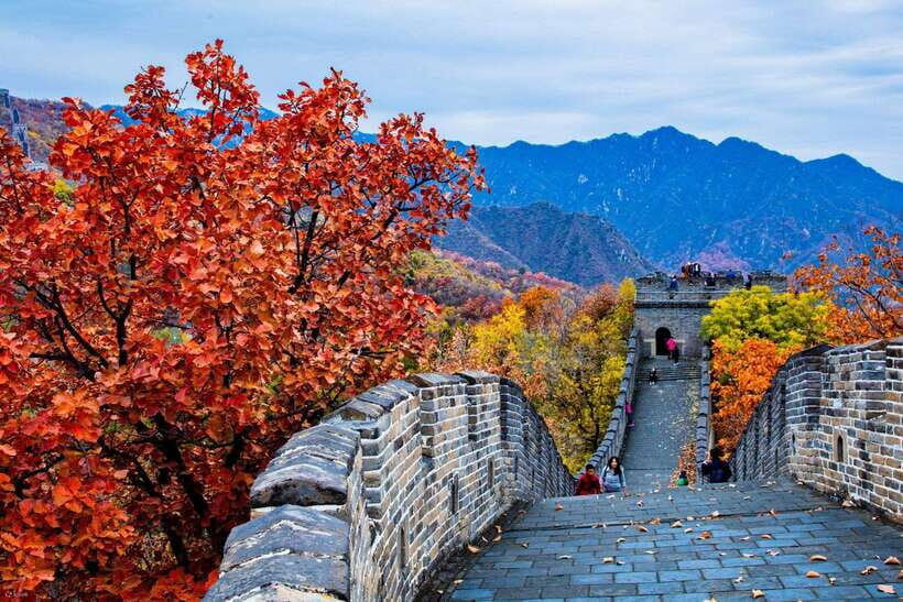 Beijing: Panda House w/Great Wall or City Sites Private Tour - Option 3: Customize your afternoon with temples, markets, and 798