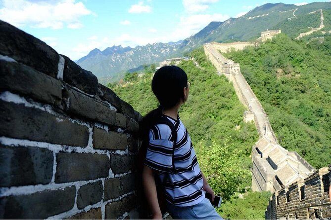 Beijing Private Tour:Mutianyu/Badaling Great Wall and Panda House - The battlements and watchtowers: what you should look for