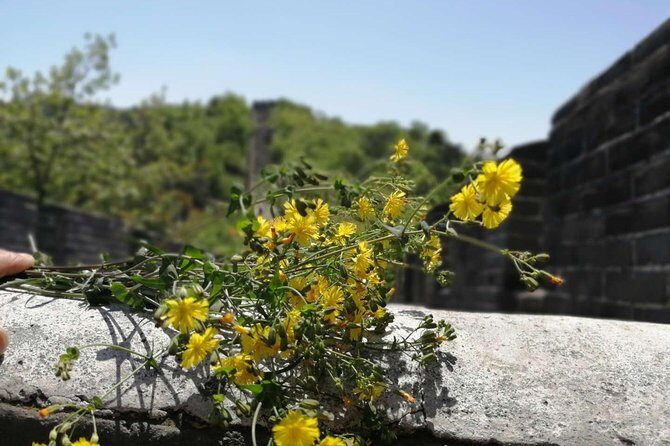 Beijing Private Transfer: Badaling Great Wall with VIP Past Pass - Tickets, Cable Car, and What You Pay On Your Own
