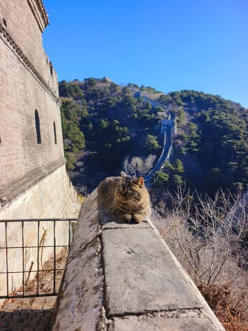 Mutianyu Great Wall Private Tour with English Driver - Who should book this tour (and who might want a different plan)