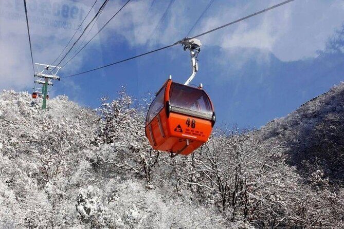 Private Day Tour to Beijing Mutianyu Great Wall - What’s included vs what you’ll need to budget for