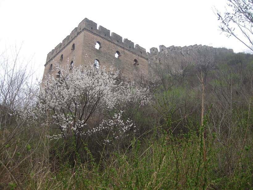Self-guided challenging hiking from Jinshanling to Gubeikou - Back on the wall at 24-Eye: Coiling Dragon Hill comes into view